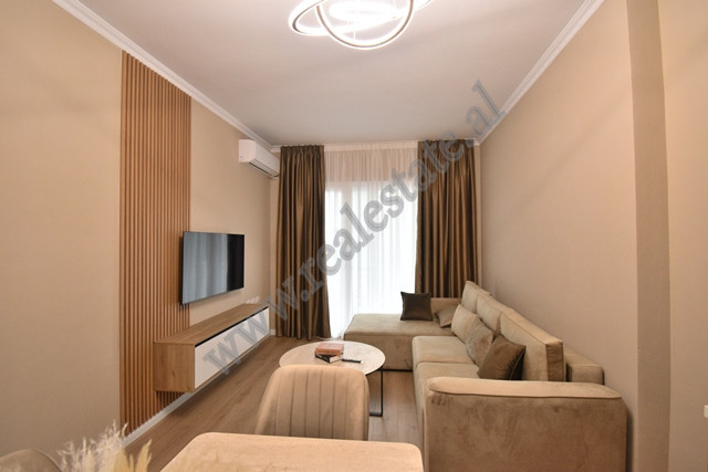 Modern two bedroom apartment for rent in Selite e Vjeter Street, in the Botanical Garden area in Tir